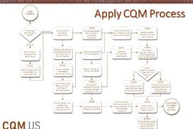 Apply CQM Process Flow Chart-post
