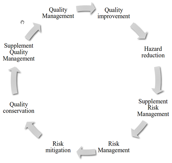 Quality-and-Risk-Management